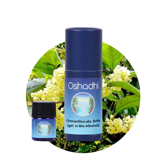 Osmanthusöl absolute (80% gel. in Bio-Alkohol)