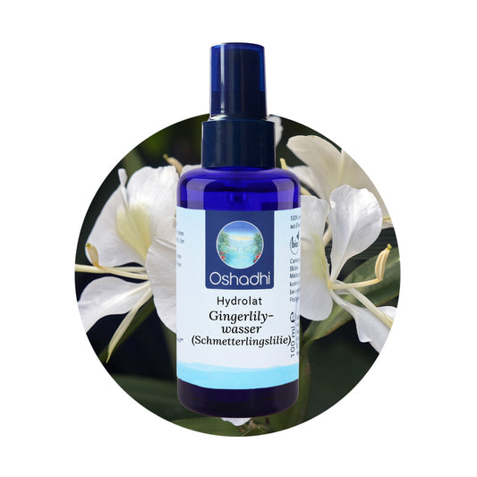 Gingerlilywasser (Schmetterlingslilie)