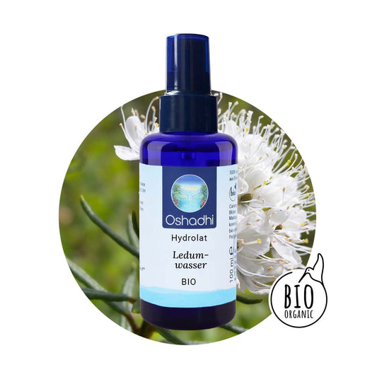 Ledumwasser bio