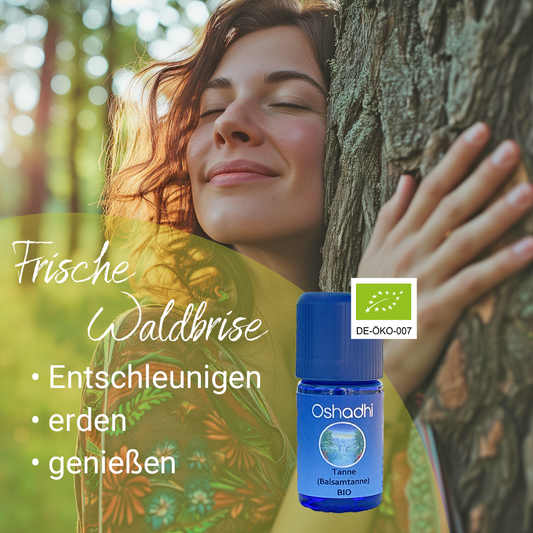 Tannenöl (Balsamtanne) bio