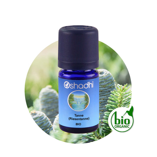 Tannenöl bio Riesentanne