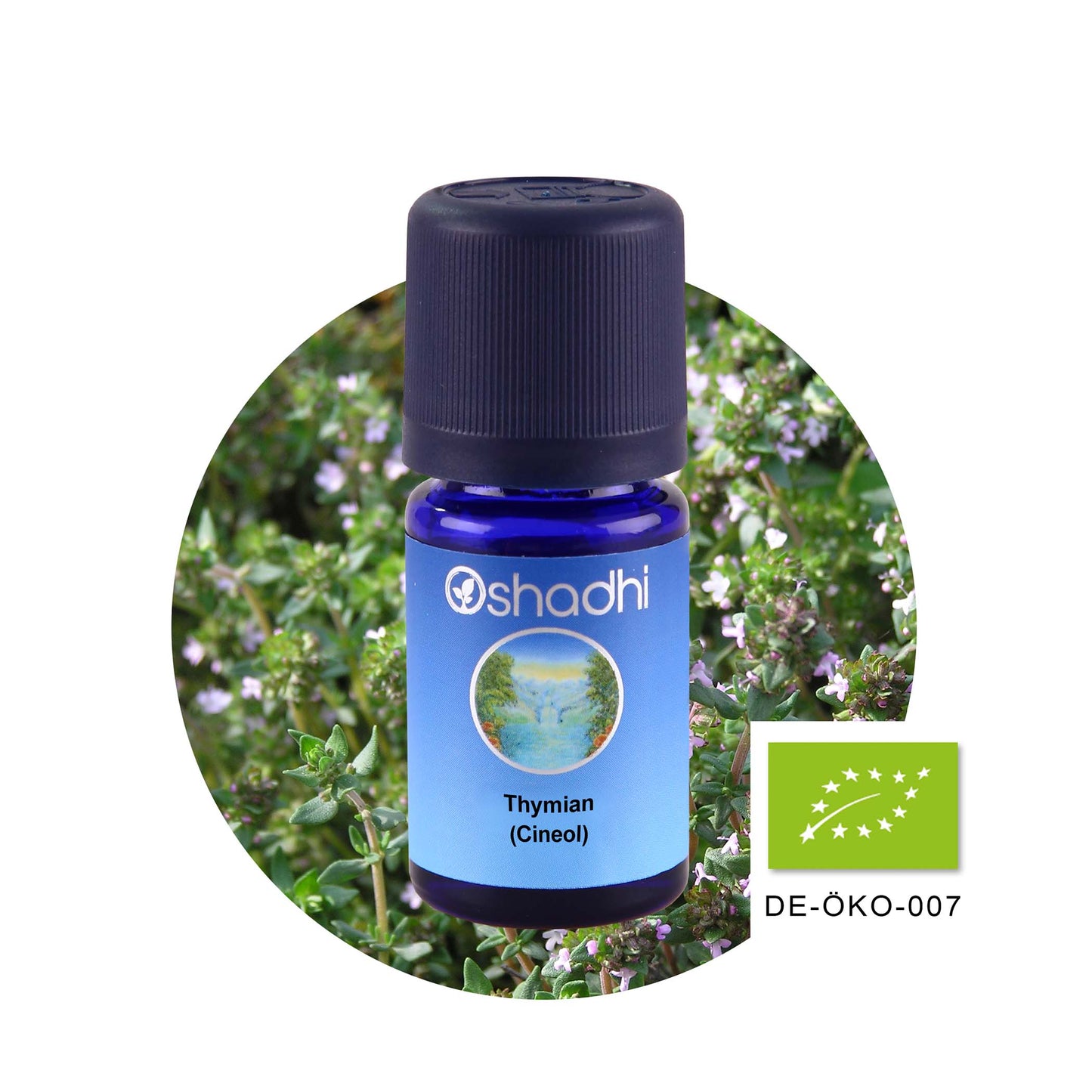 Thymianöl EU-bio (Cineol)