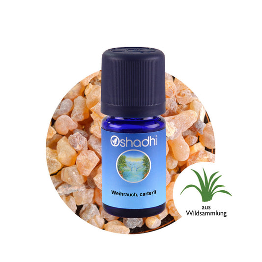 Weihrauchöl carterii