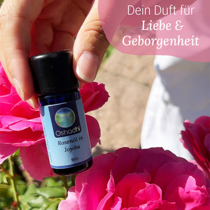 Rosenöl in Jojoba Bio