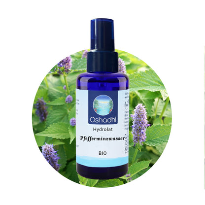 Pfefferminzwasser EU-bio