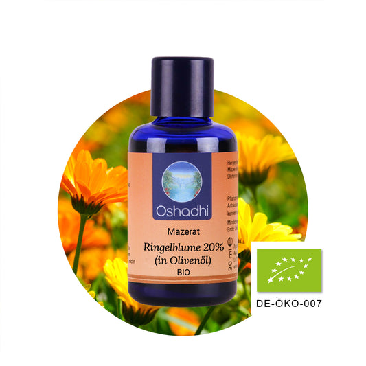 Ringelblume 20% (Calendula) (in Olivenöl) EU-bio 100ml