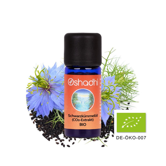 Kümmel (Schwarzkümmel Nigella) CO2, EU-bio