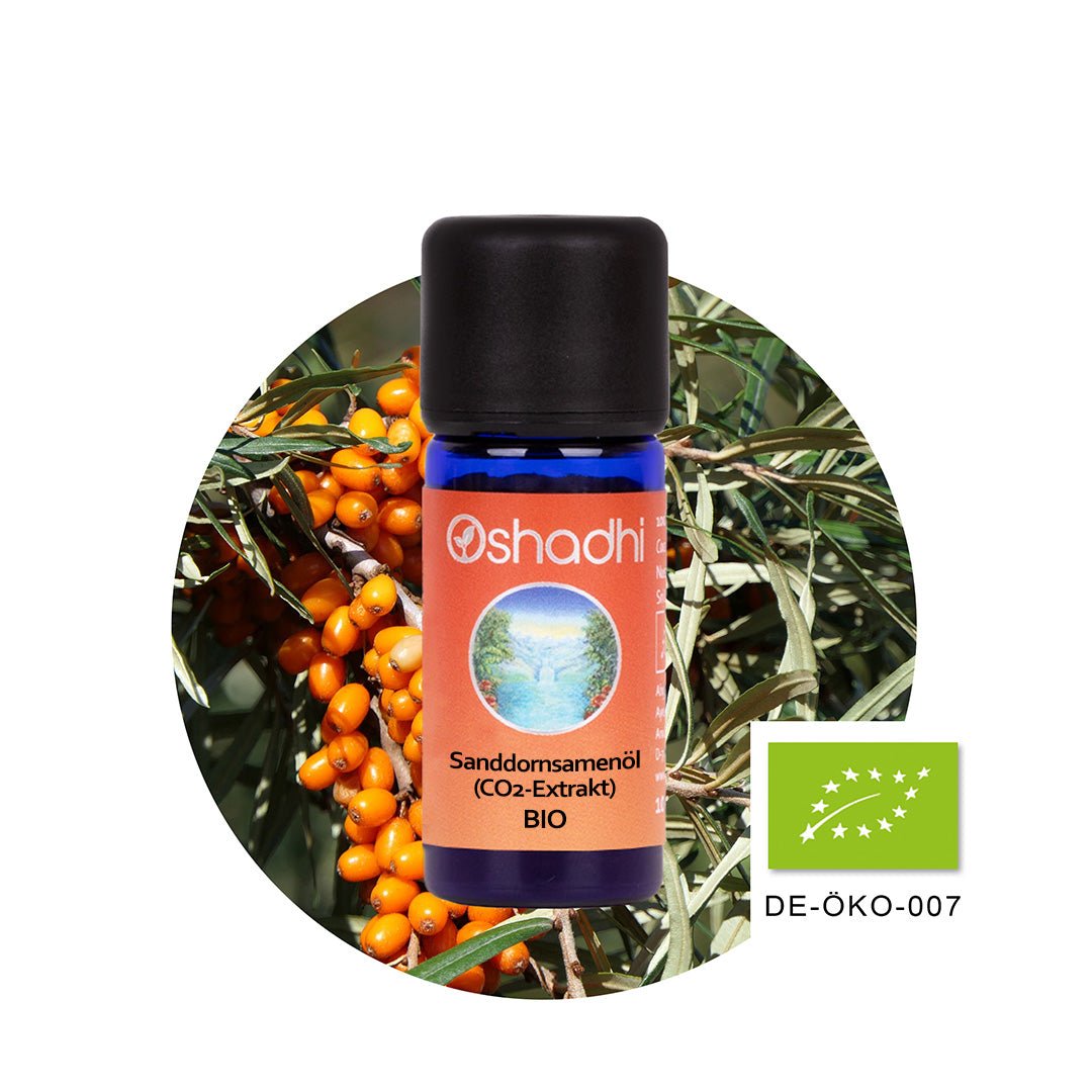 Sanddornsamenöl (CO2-Extrakt) EU-bio
