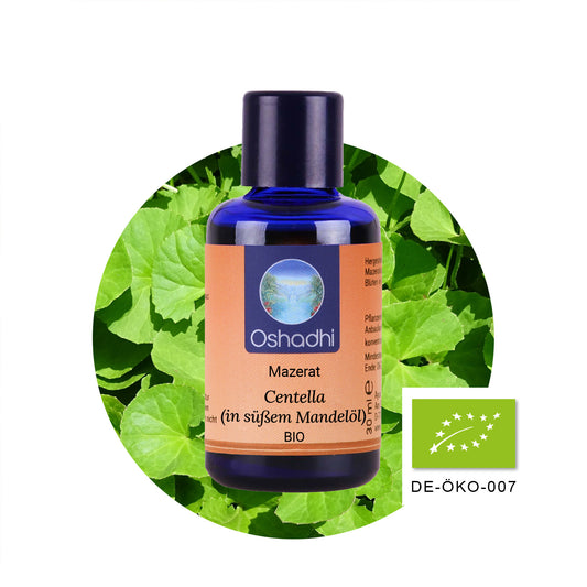 Centella-Mazerat 10% (in süßem Mandelöl) EU-bio