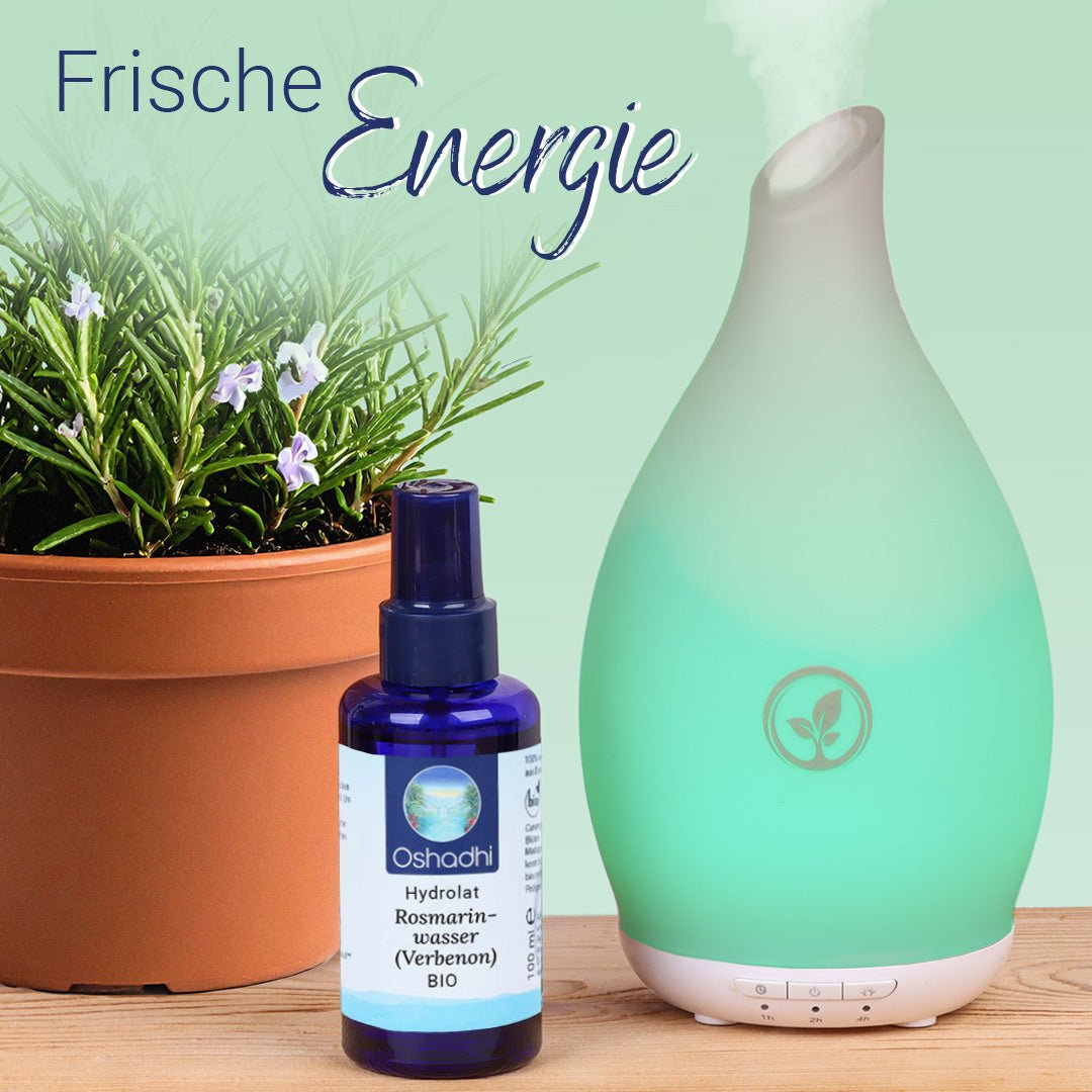 rosmarinwasser aufbewahren Rosmarinwasser (Verbenon) bio