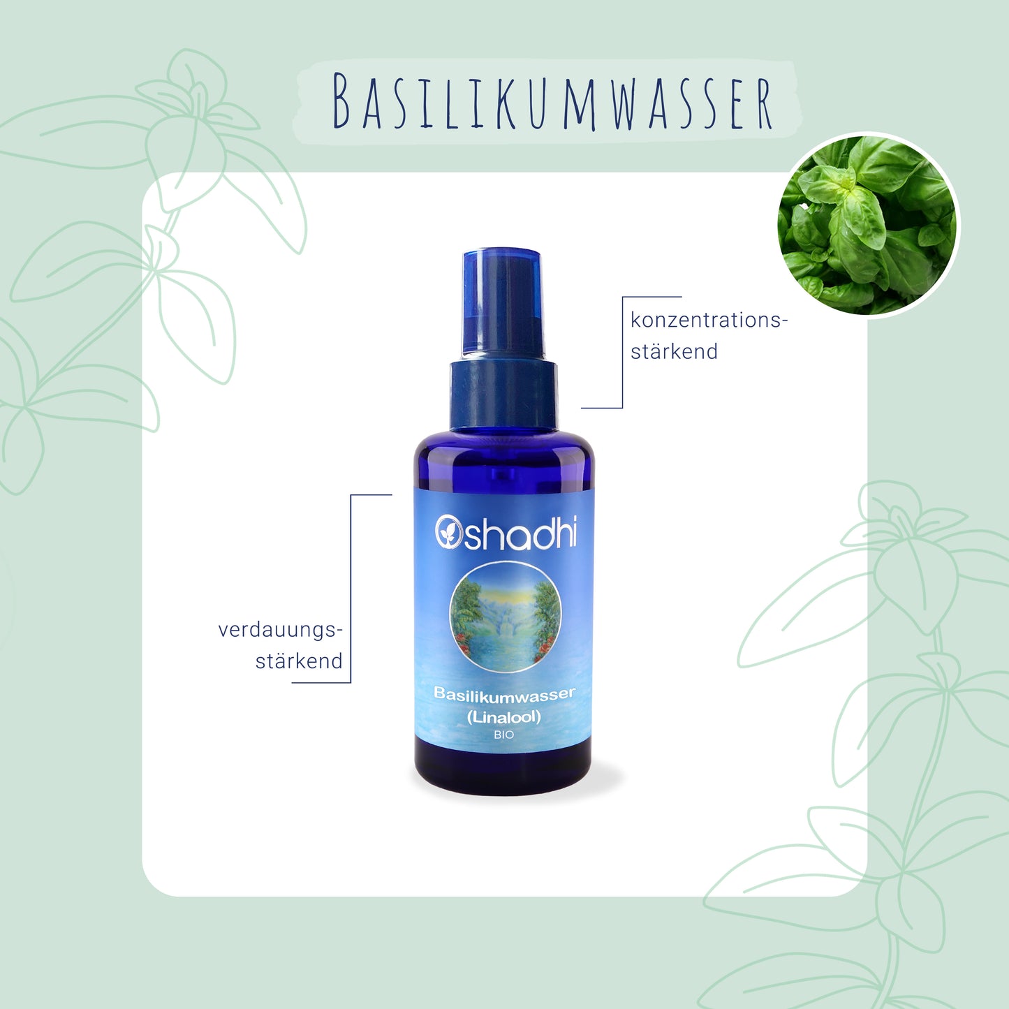 Basilikumwasser (Linalool) bio