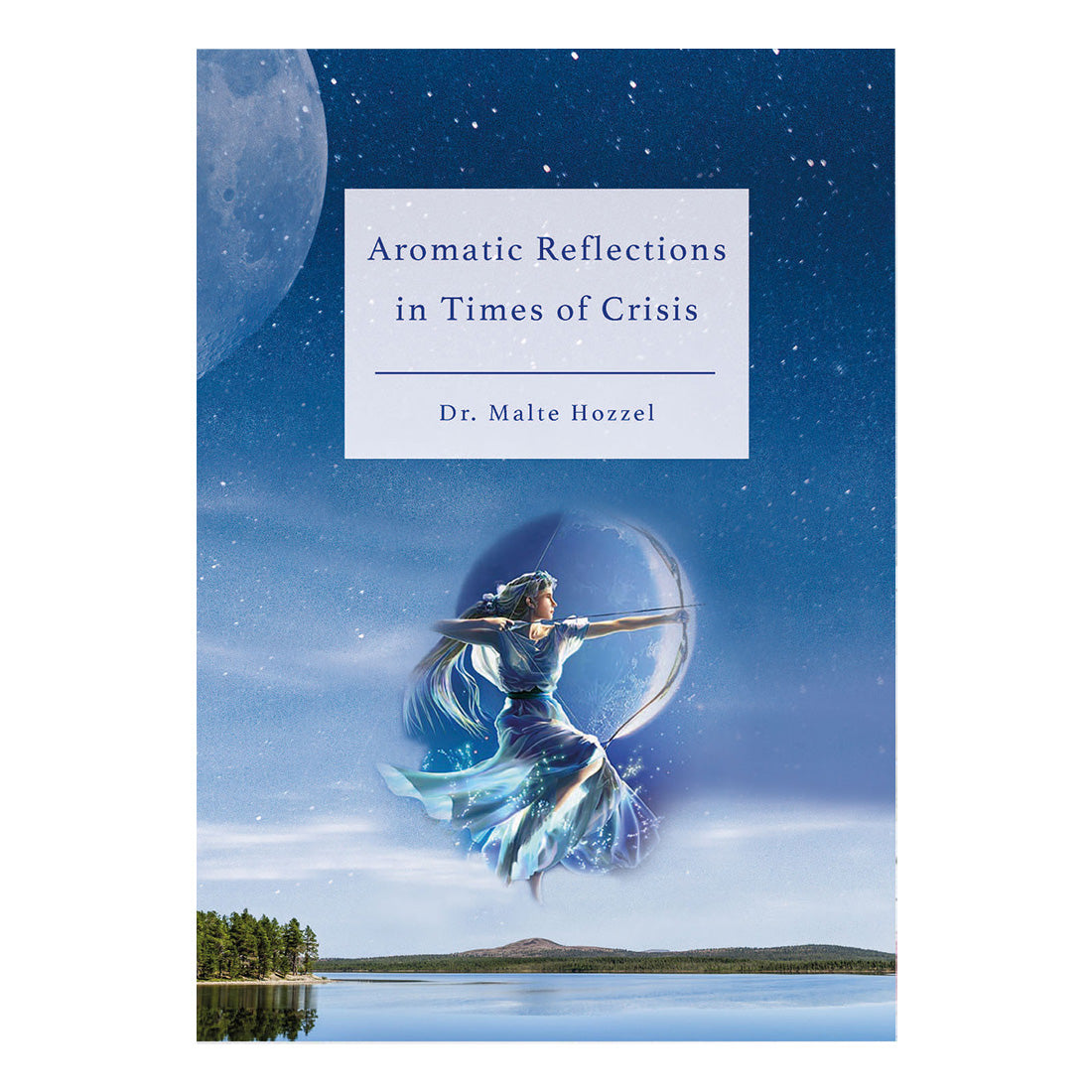 Aromatic Reflections in Times of Crisis von Dr. Malte Hozzel
