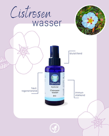 Cistrosenwasser bio