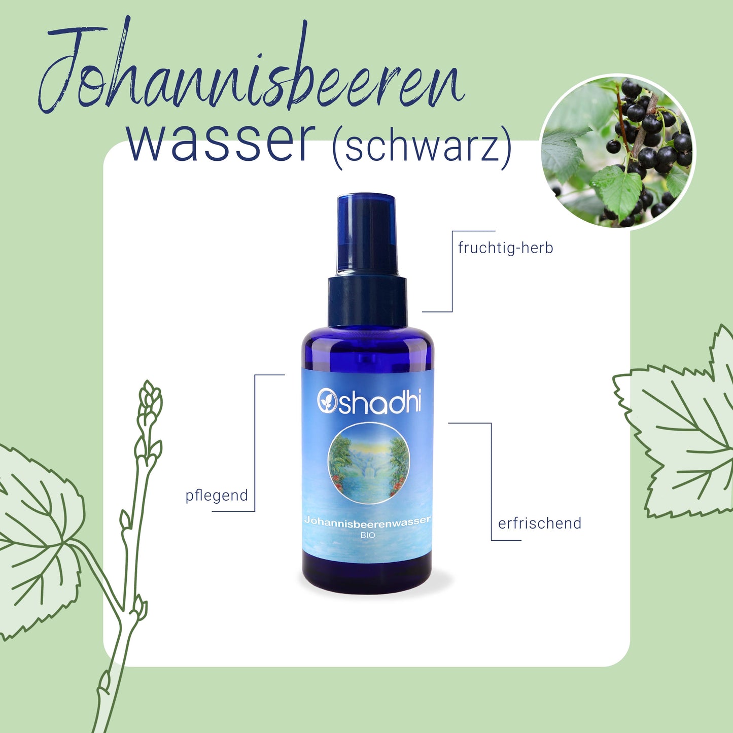 Johannisbeerenwasser schwarz EG-bio