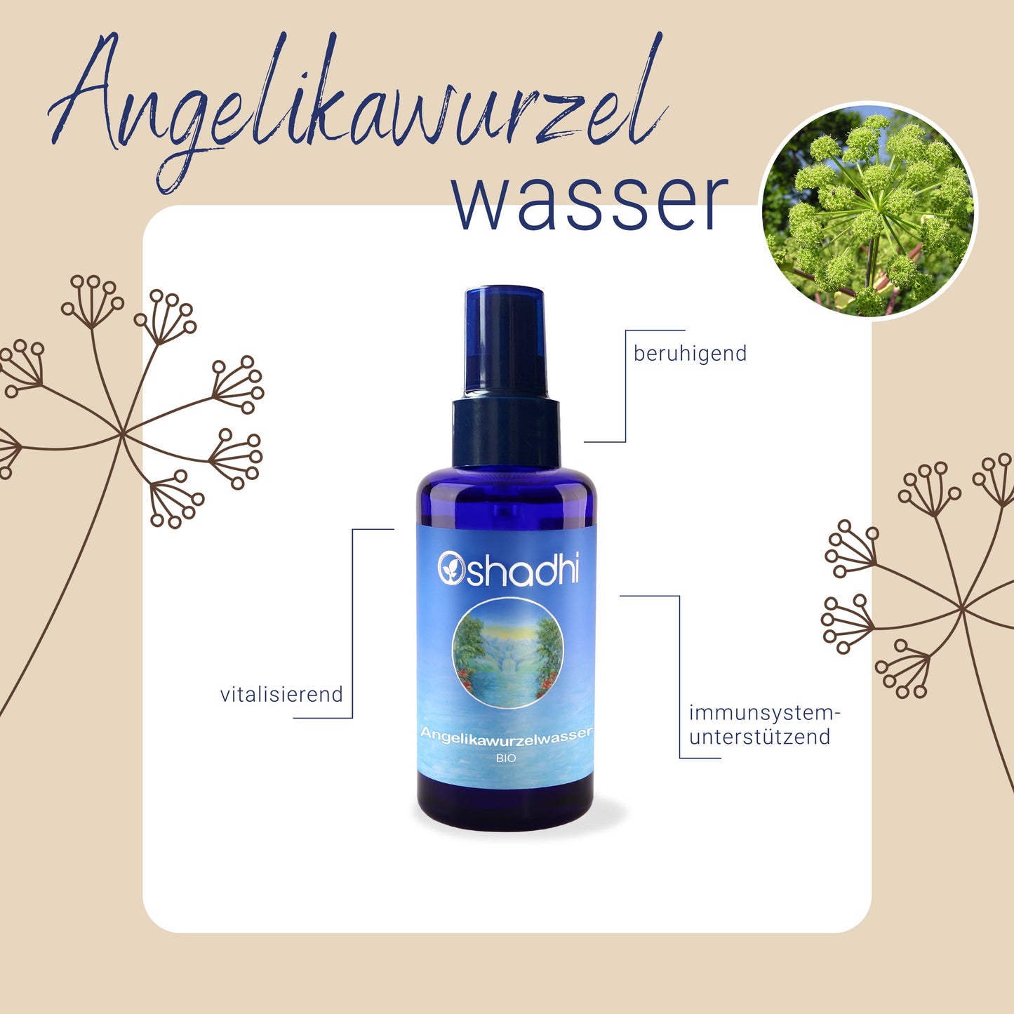 Angelikawurzelwasser EG-bio