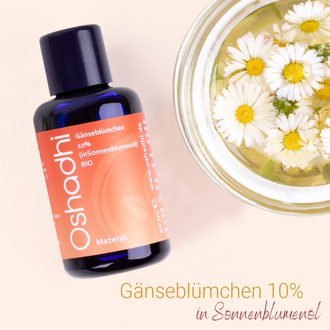 Gänseblümchen-Mazerat 10% (in Sonnenblumenöl) EG-bio