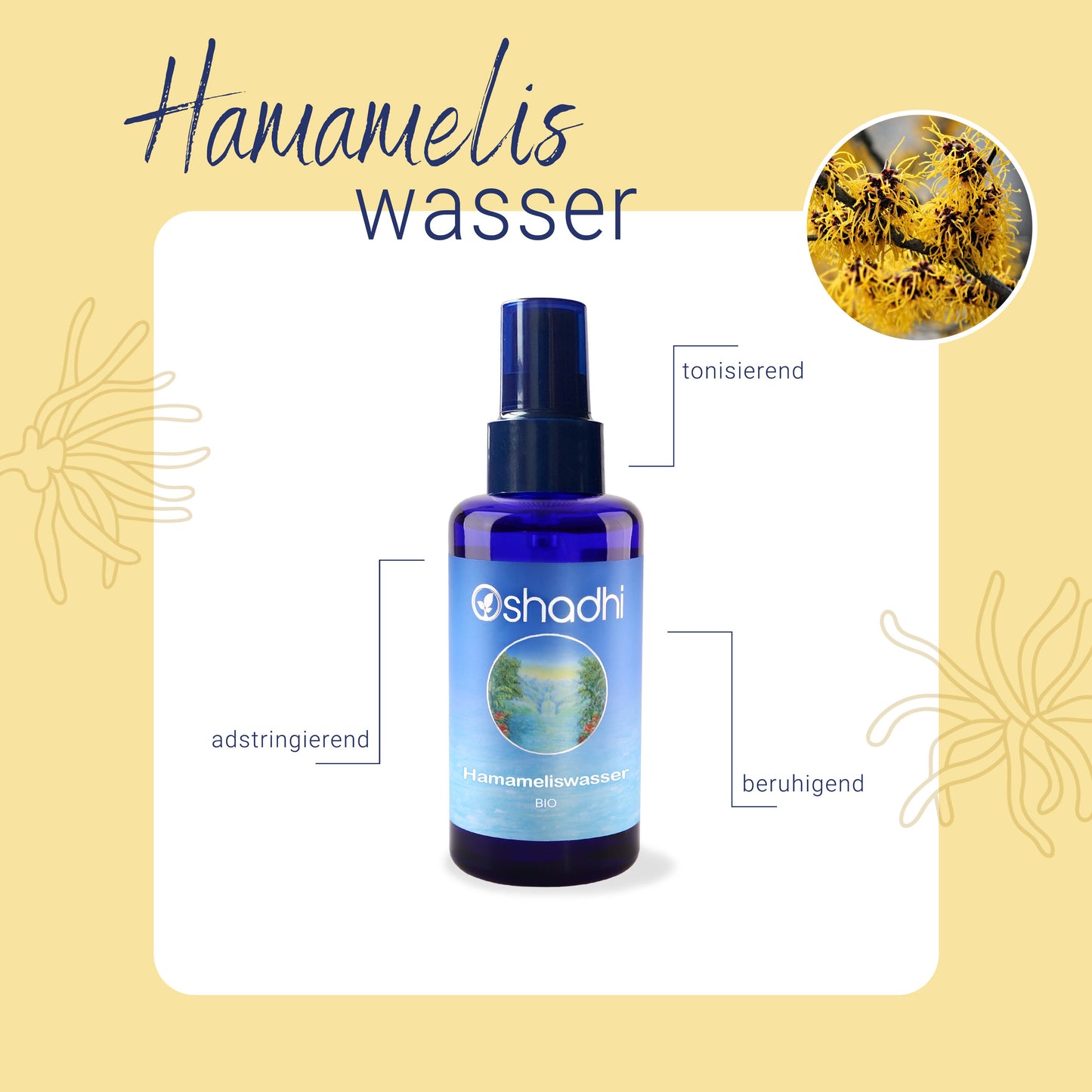 Hamameliswasser bio