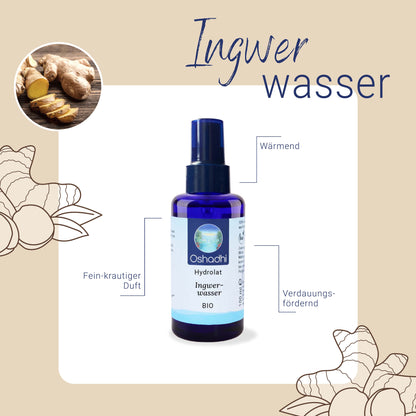 Ingwerwasser EU-bio