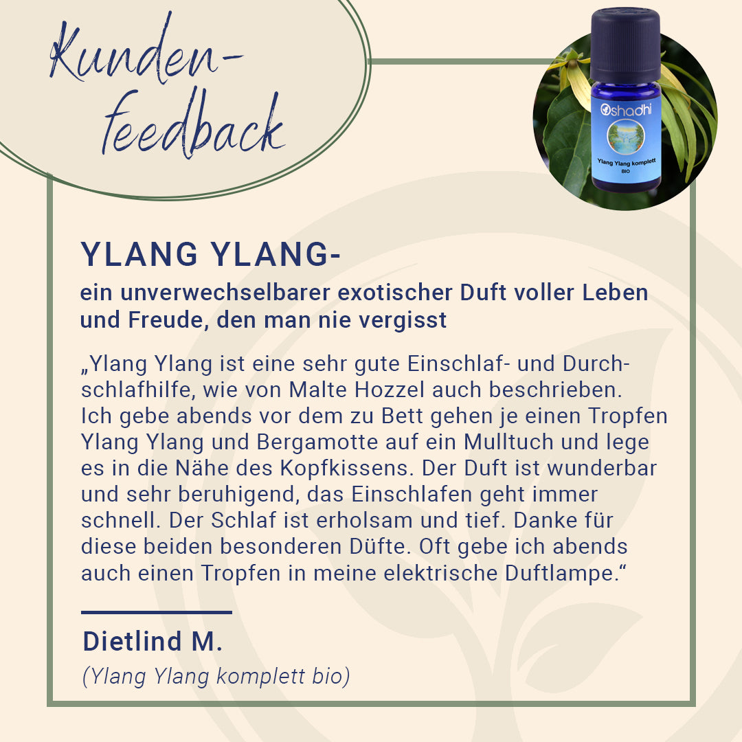 Ylang Ylang Öl komplett, bio