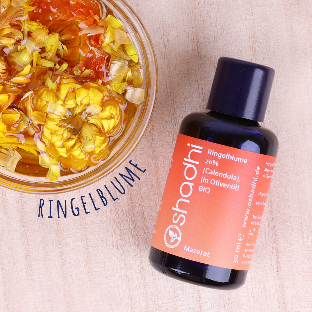 Ringelblume 20% (Calendula) (in Olivenöl) EG-bio 100ml