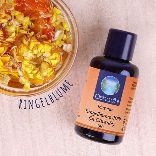 Ringelblume 20% (Calendula) (in Olivenöl) EU-bio 100ml