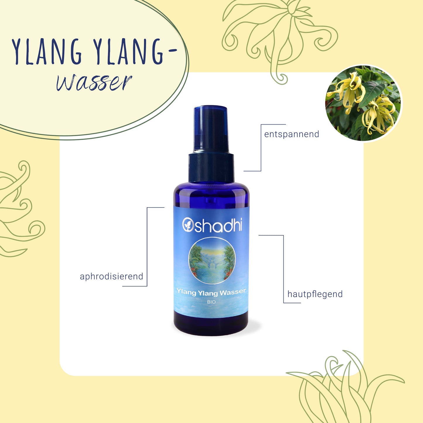 Ylang Ylang Wasser bio