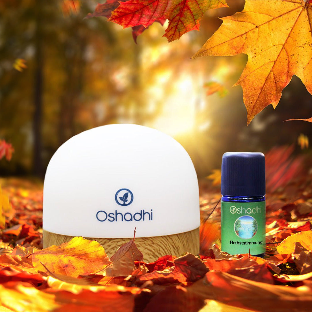 Herbststimmung Diffuser Set
