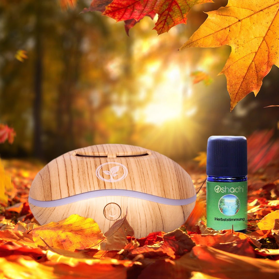Herbststimmung Diffuser Set