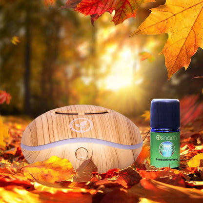 Herbststimmung Diffuser Set