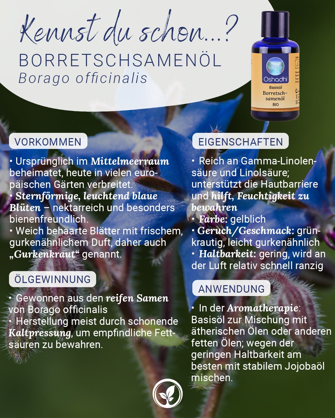 Borretschsamenöl EU-bio
