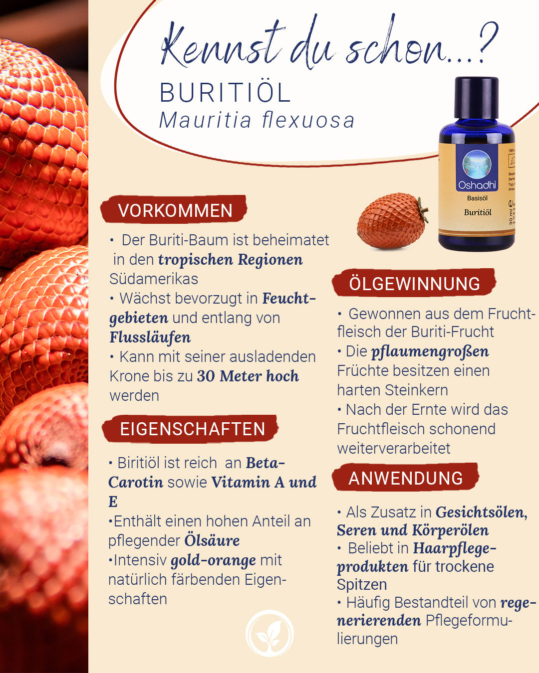 Buritiöl