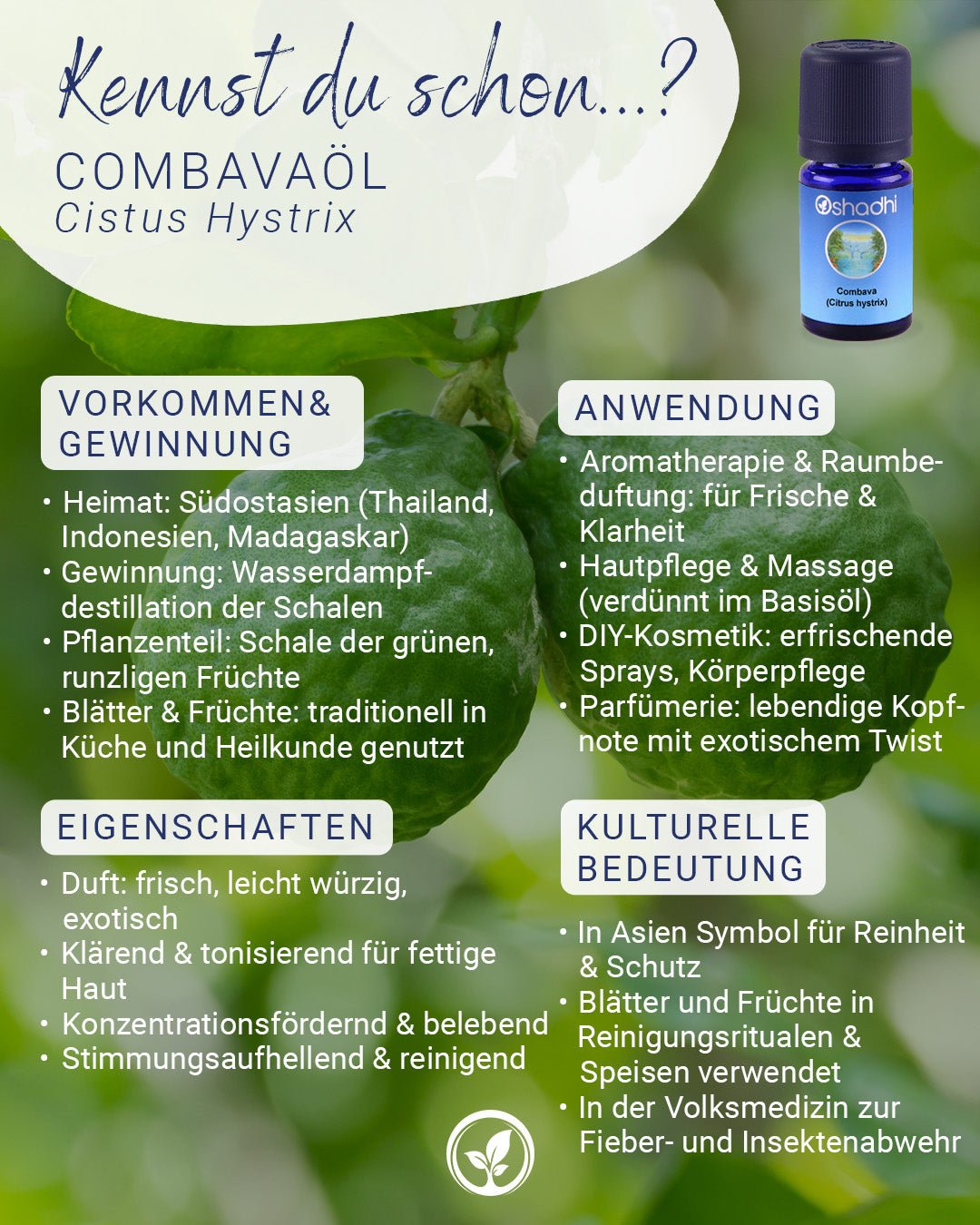 Combava-Öl (Citrus hystrix)