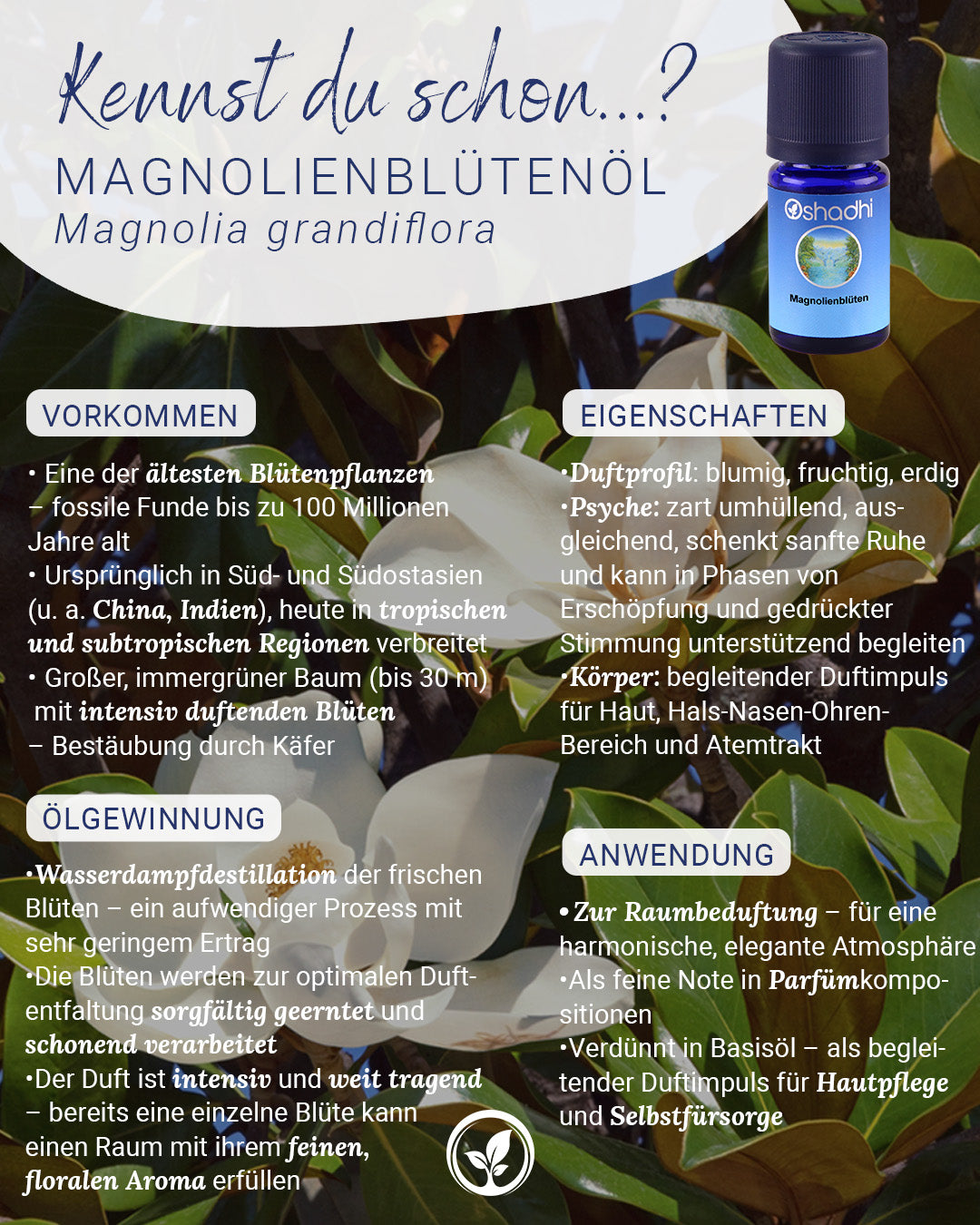 Magnolienblüten-Öl