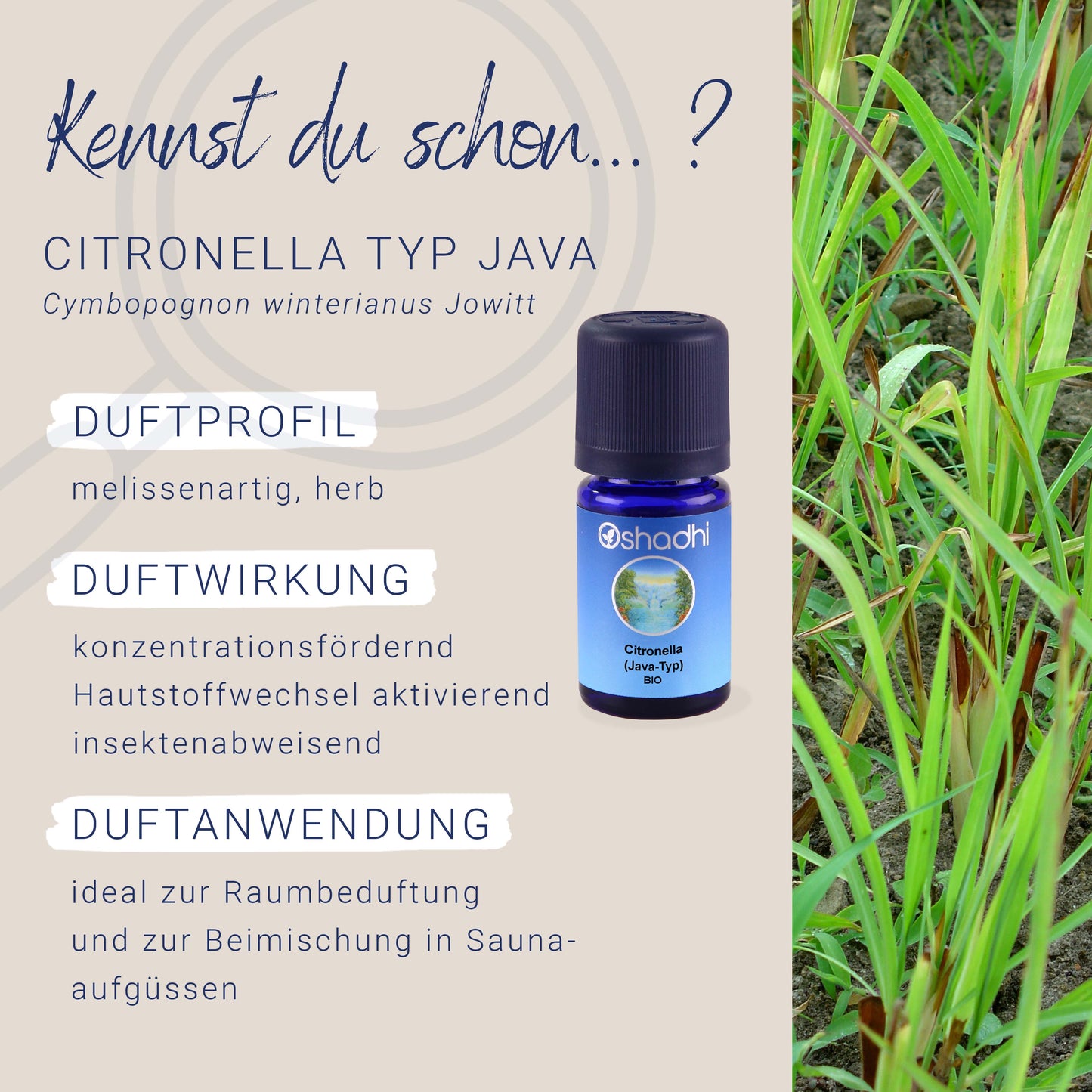 Citronella-Öl bio Java-Typ