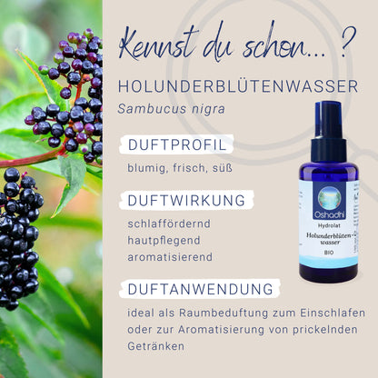Holunderblütenwasser EU-bio