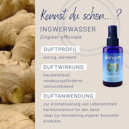 Ingwerwasser EG-bio