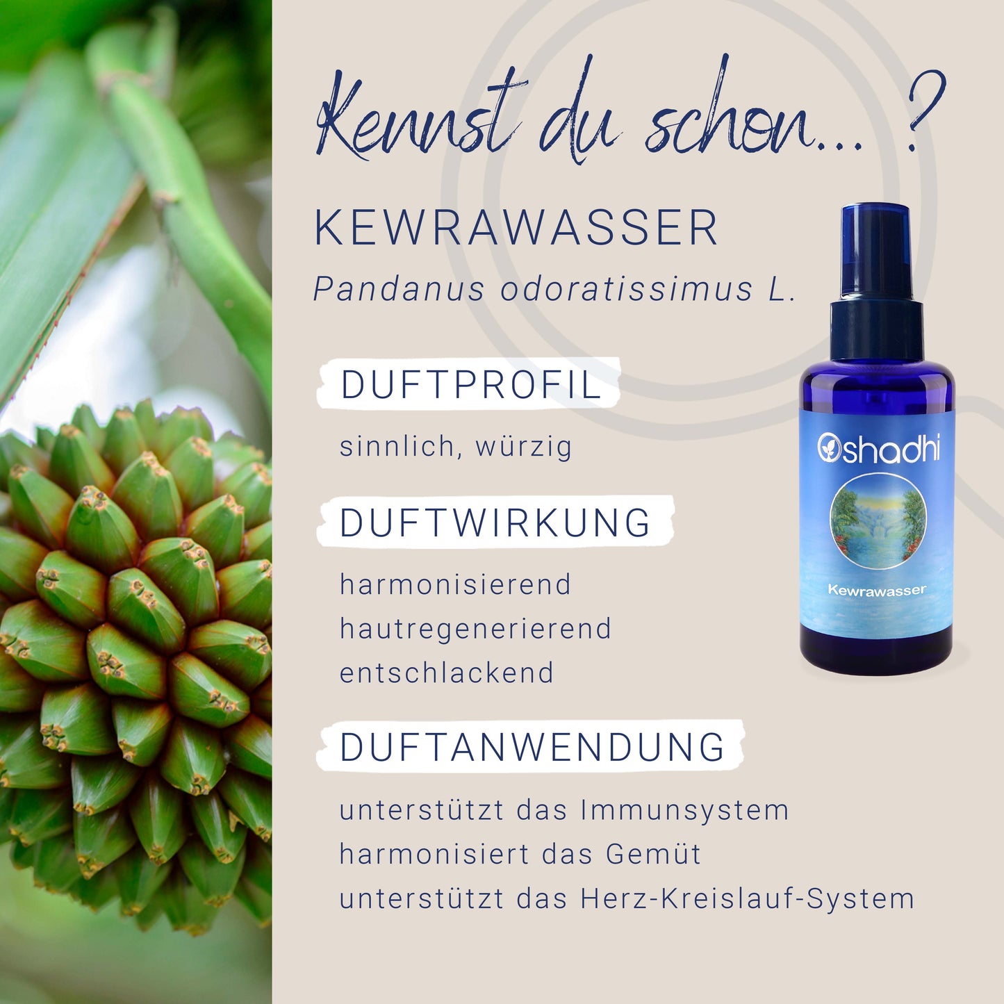 Kewrawasser