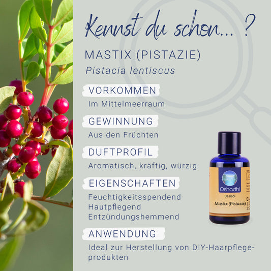 Pistazie (Mastixöl)