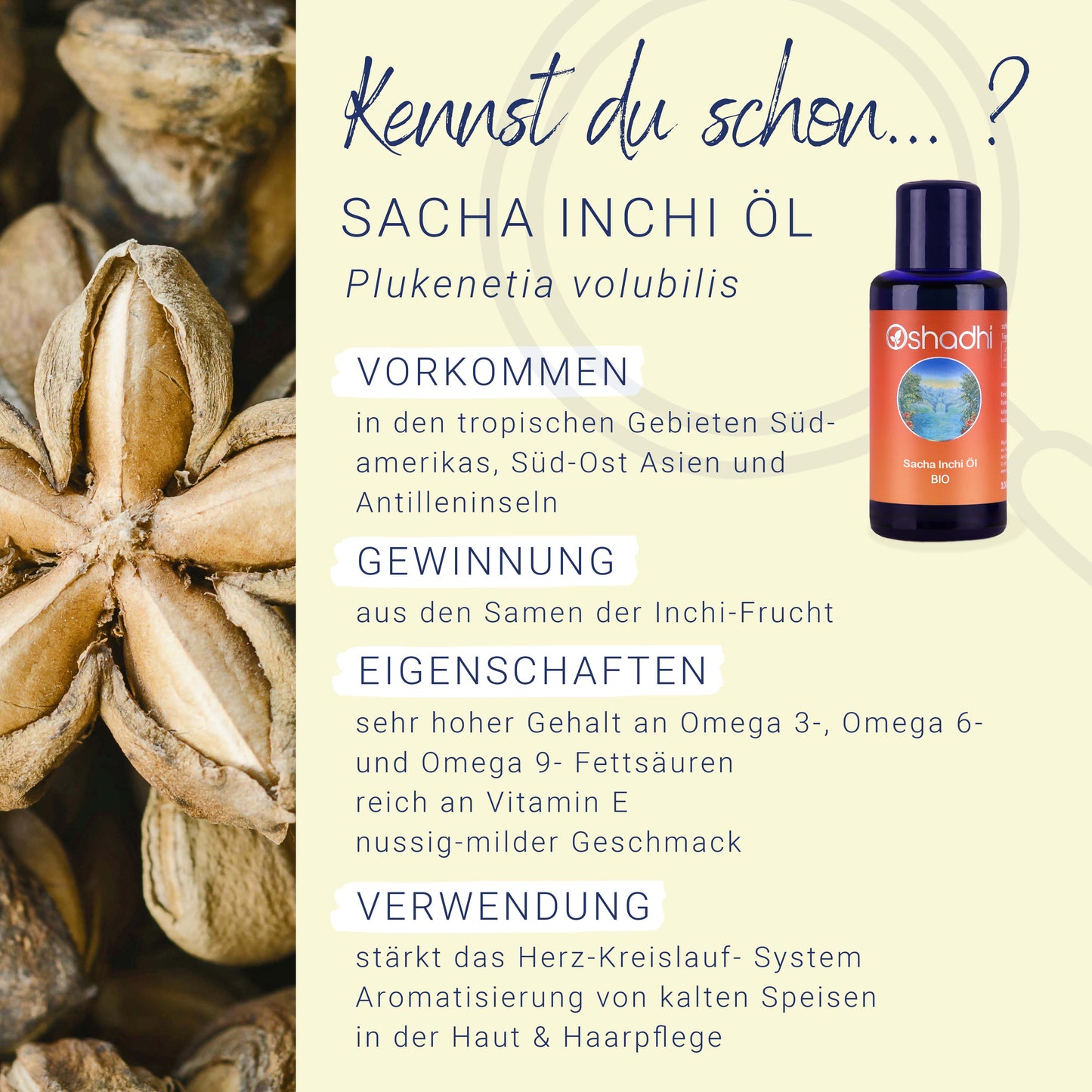 Sacha Inchi Öl EG-bio