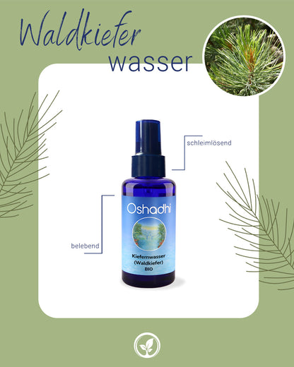 Kiefernwasser (Waldkiefer) EU-bio