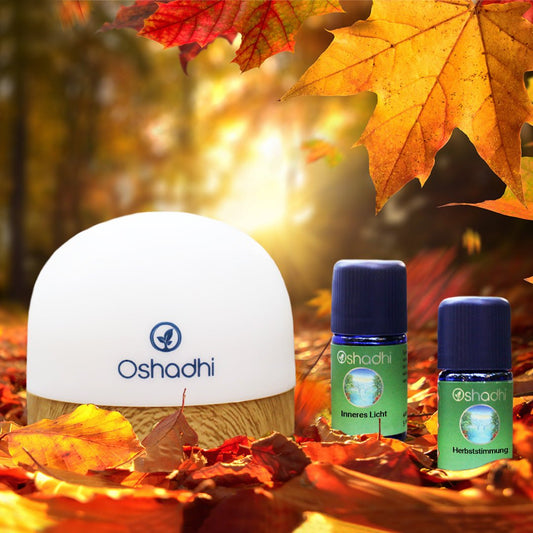 Herbststimmung Diffuser Set