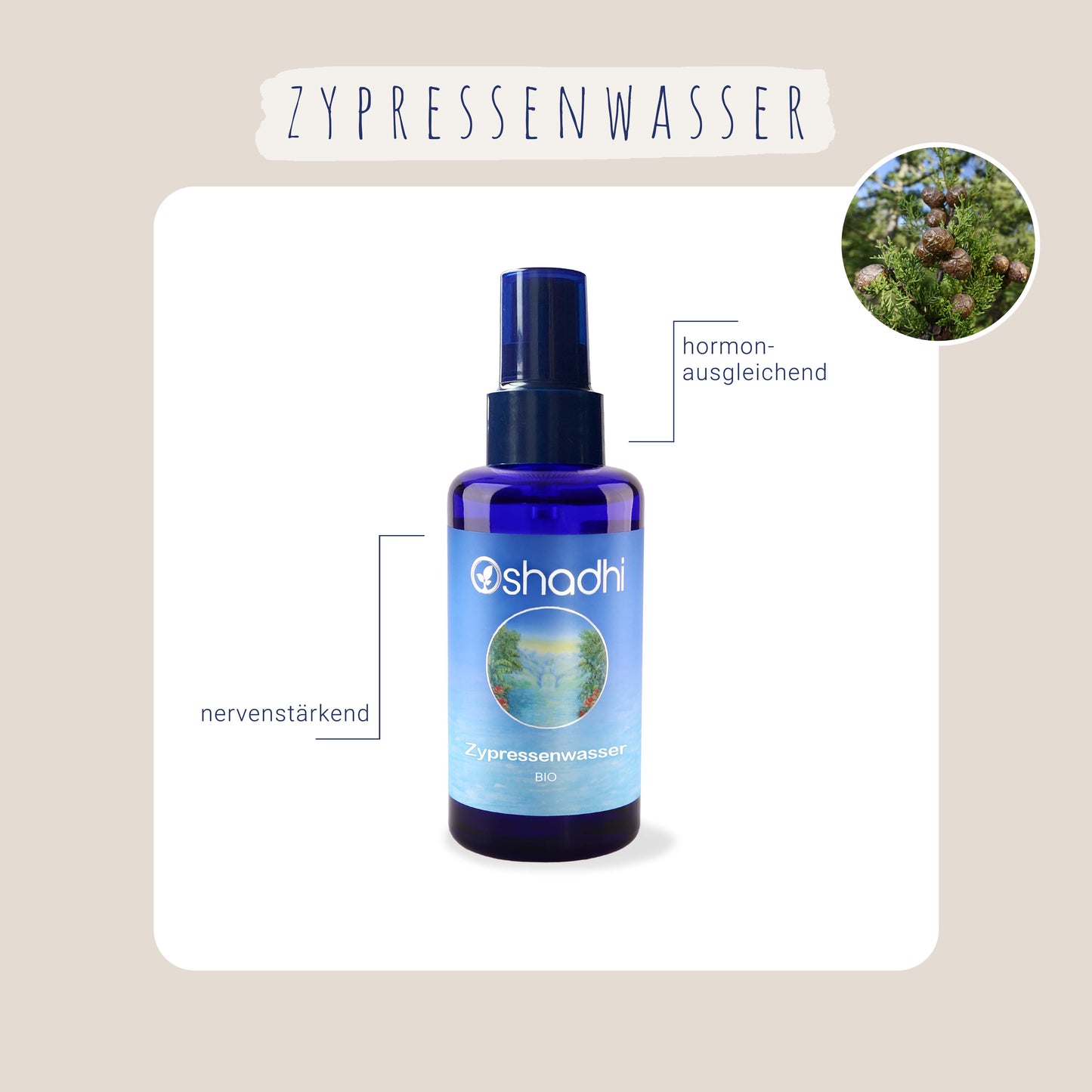 Zypressenwasser bio