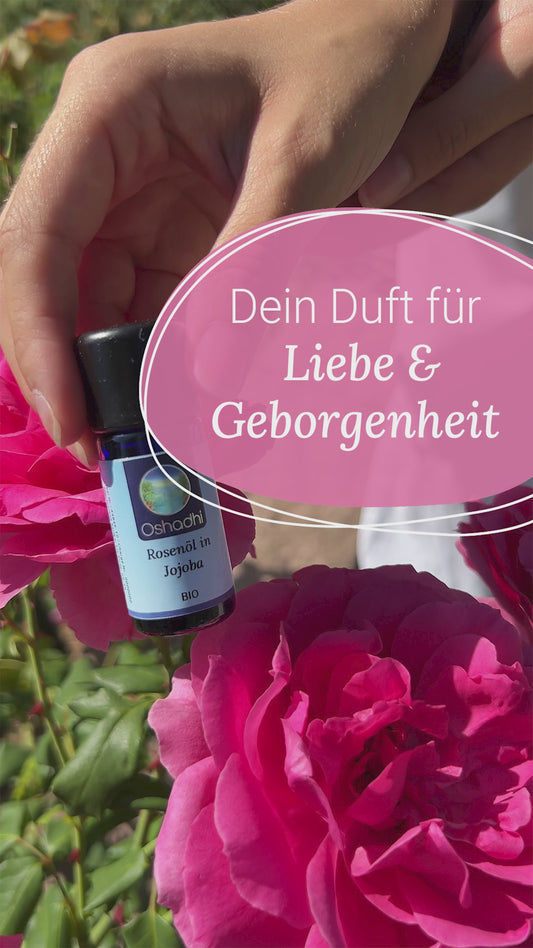 Rosenöl in Jojoba Bio