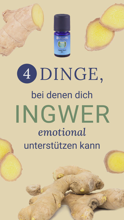 Ingweröl, trocken bio