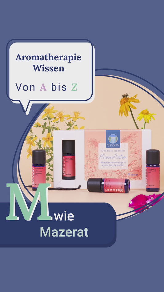 Mazerate Quartett – Pflanzenflüstern in seiner reinsten Form