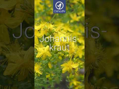 Johanniskraut 20% (in Olivenöl) bio