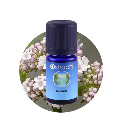 Ätherisches Öl - Baldrian