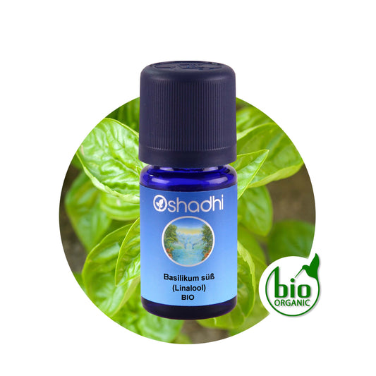 Basilikum süß (Linalool) bio (Basilikumöl) – Ätherisches Öl