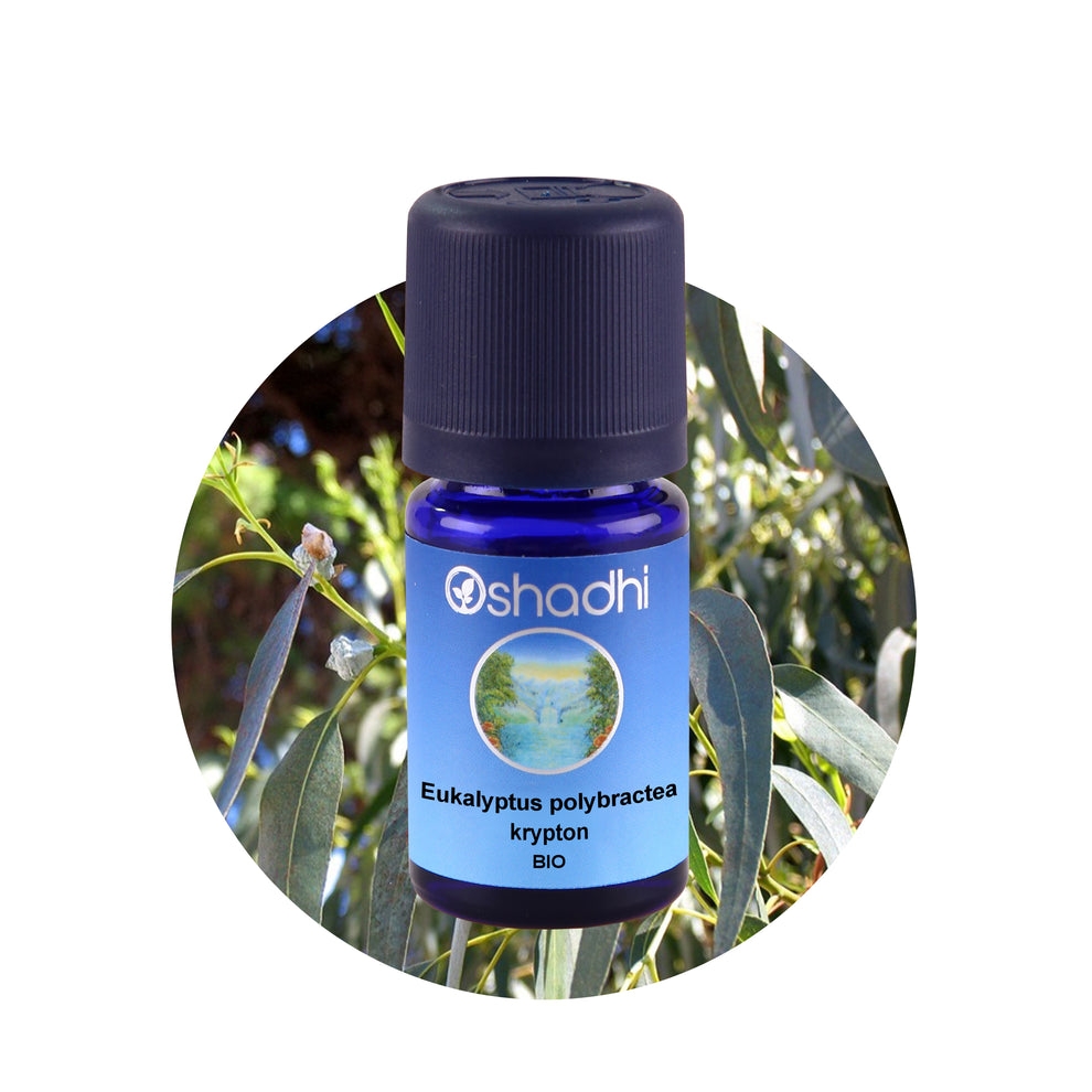 Eukalyptus polybractea, krypton EGbio Ätherisches Öl Oshadhi