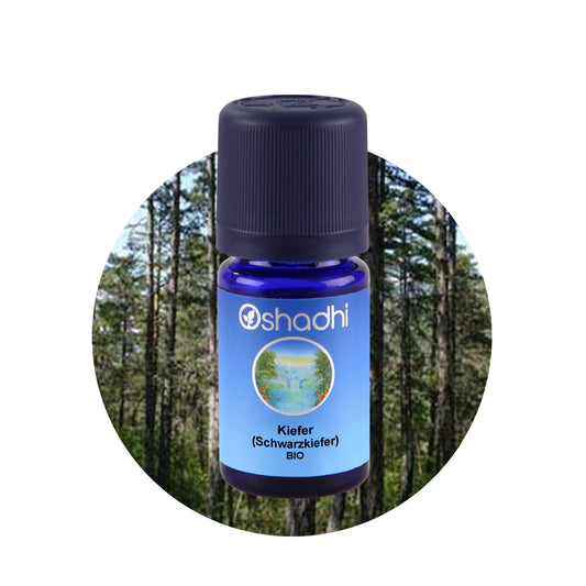 Kiefernöl bio (Schwarzkiefer)